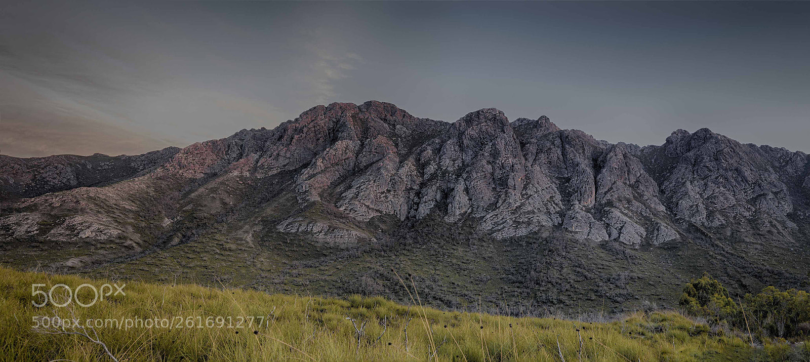 Canon EOS 6D Mark II sample photo. Sentinels photography