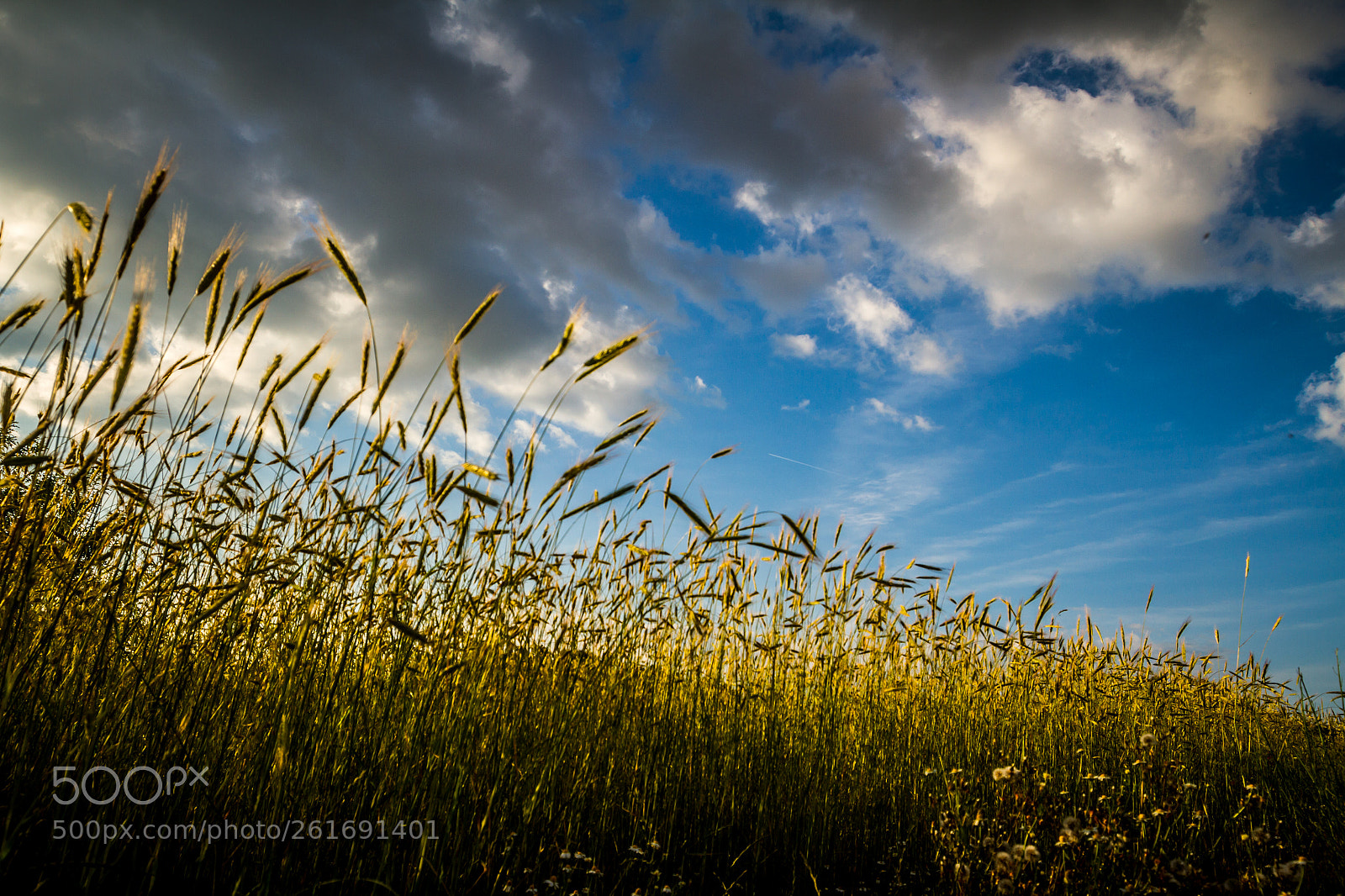Canon EOS 7D sample photo. Touching the sky photography
