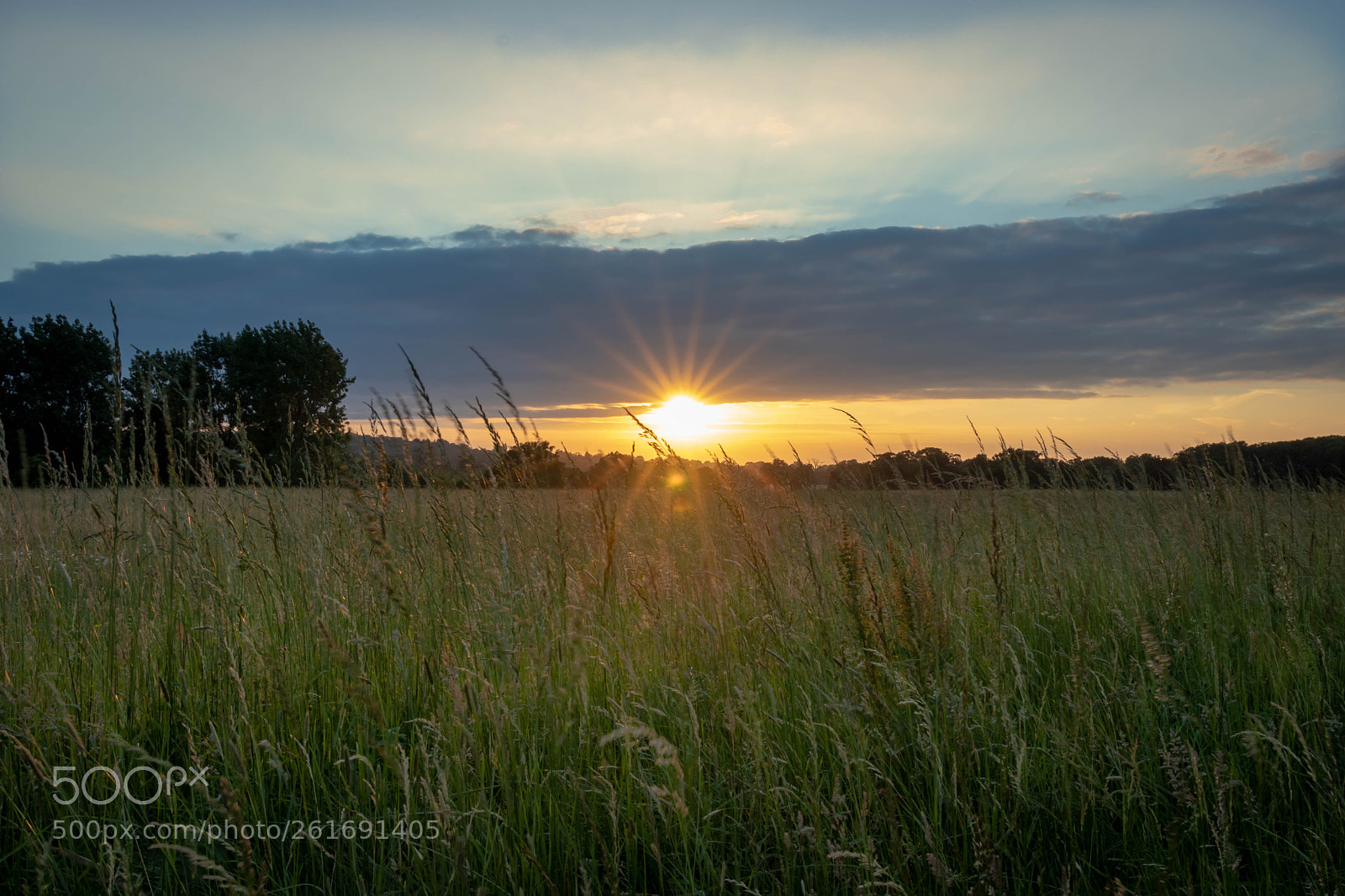 Canon EOS 77D (EOS 9000D / EOS 770D) sample photo. Windsor great park sunset photography