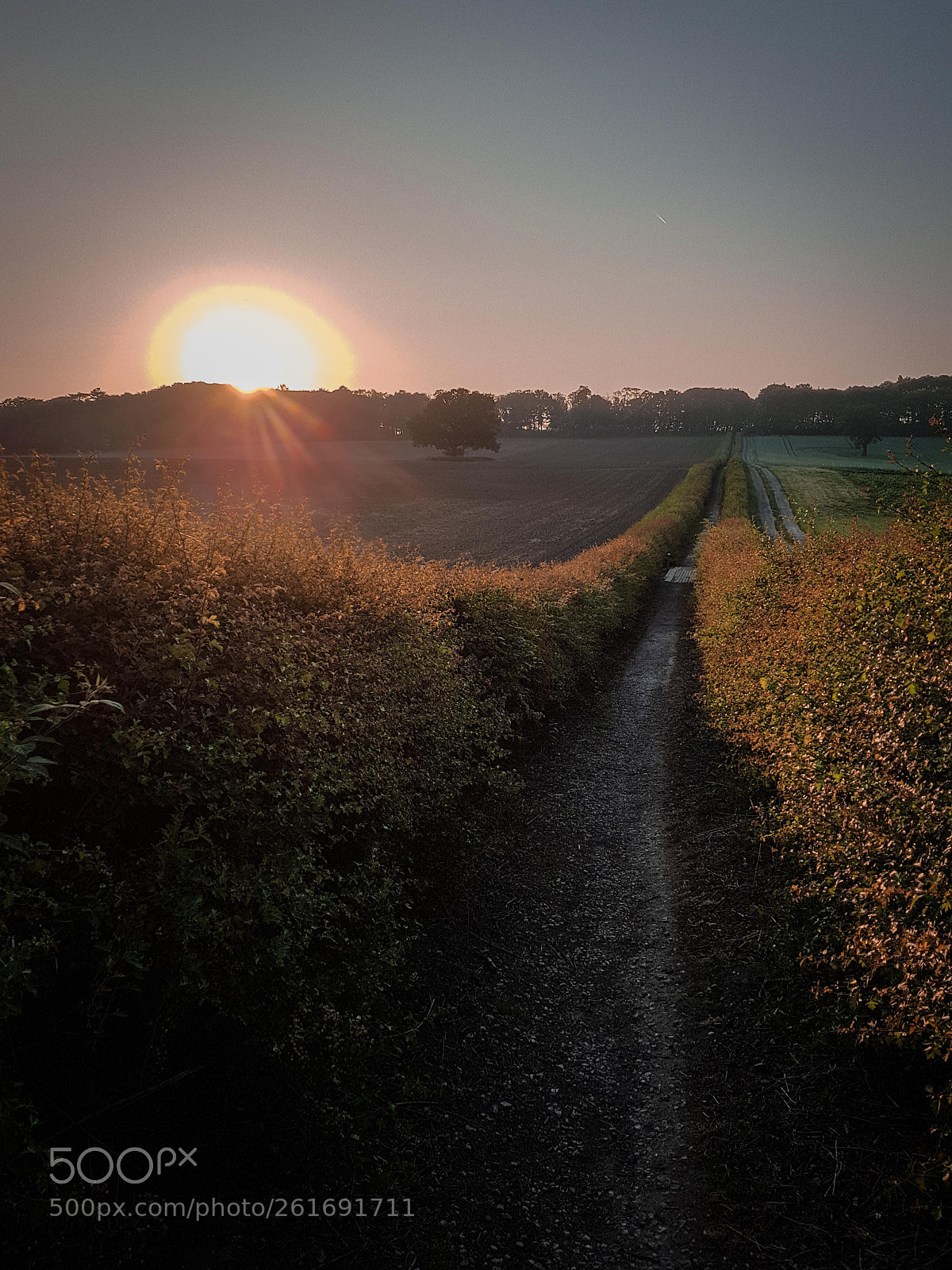 Samsung Galaxy S8+ sample photo. Path to the sunset photography