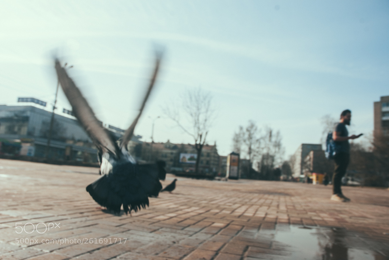 Nikon D80 sample photo. Bird photography