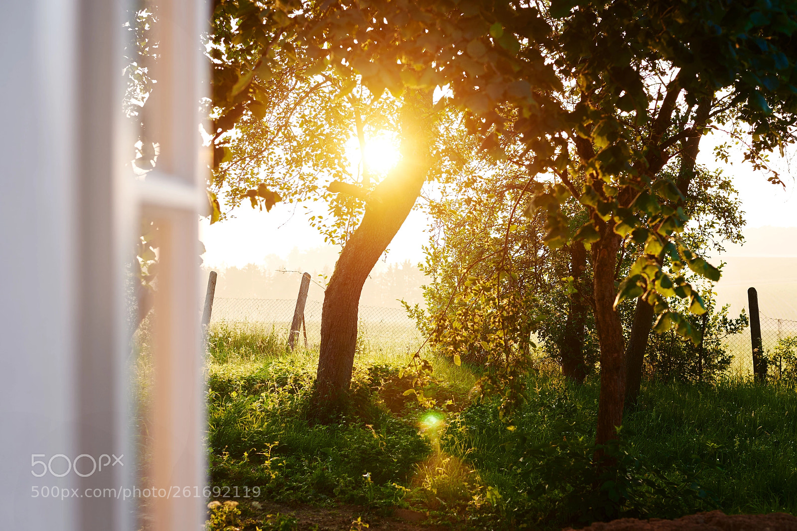 Nikon D750 sample photo. Good morning photography