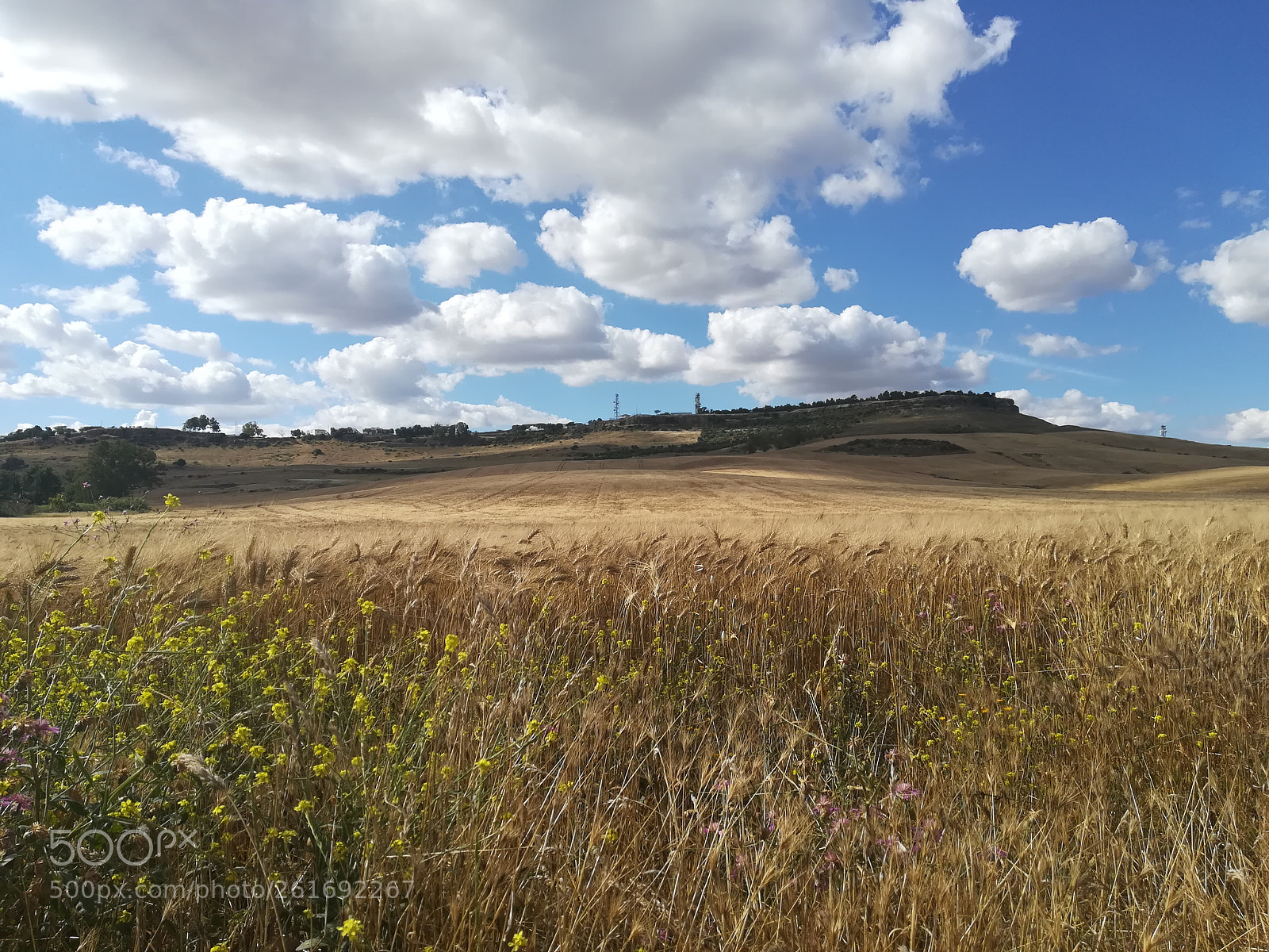 HUAWEI P10 lite sample photo. Felicidad photography