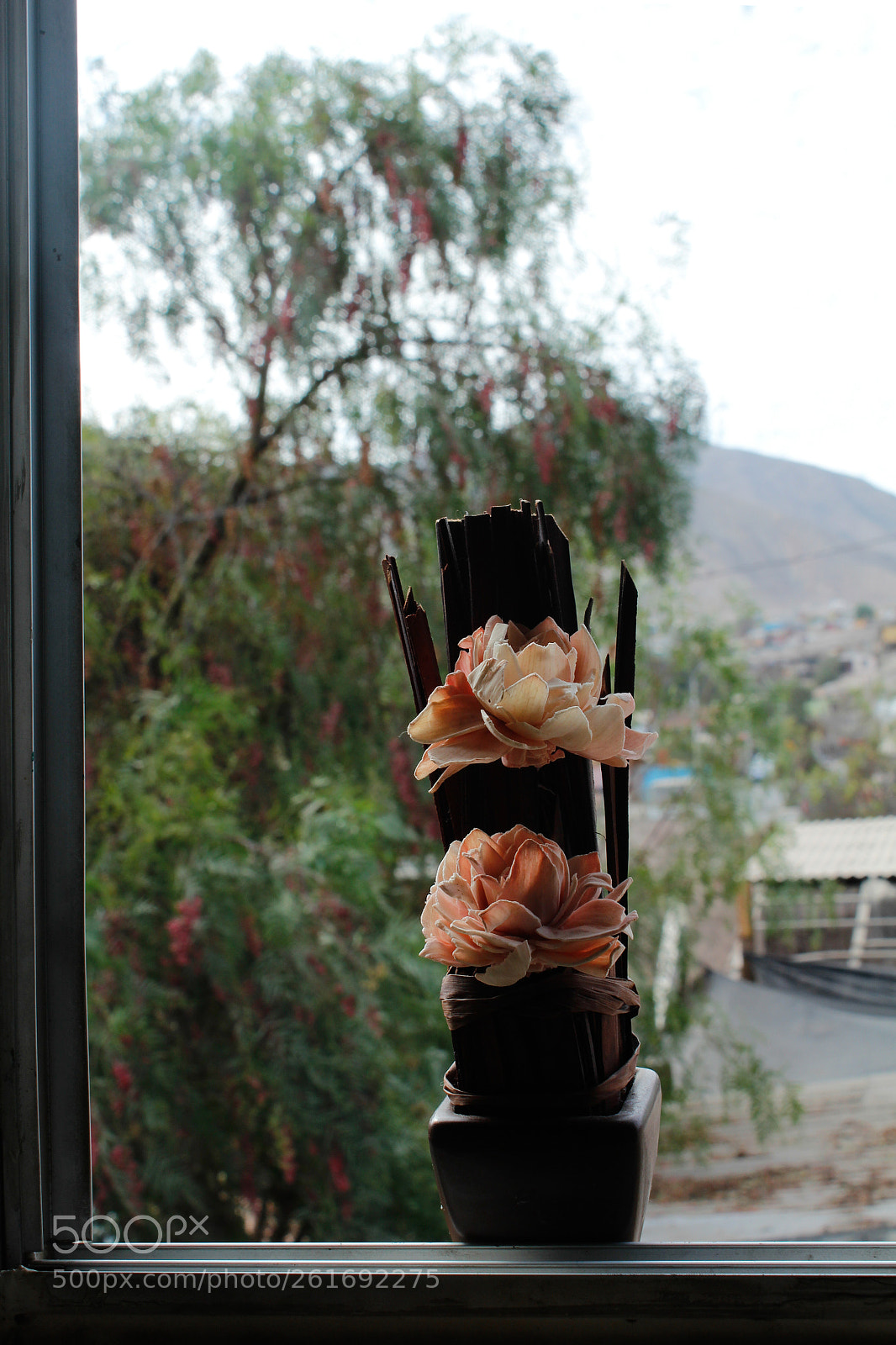 Canon EOS 1200D (EOS Rebel T5 / EOS Kiss X70 / EOS Hi) sample photo. Untitled photography