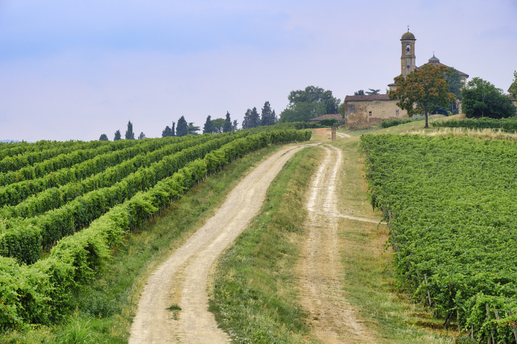 Oltrepo Piacentino (Italy), rural landscape at summer by Claudio G. Colombo on 500px.com