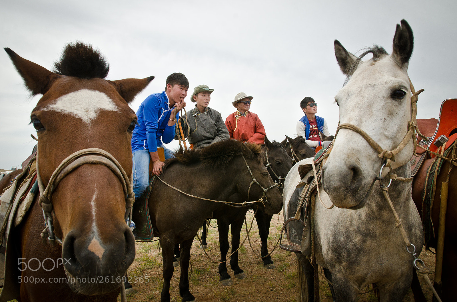 Nikon D7000 sample photo. Nadaam horse races in photography