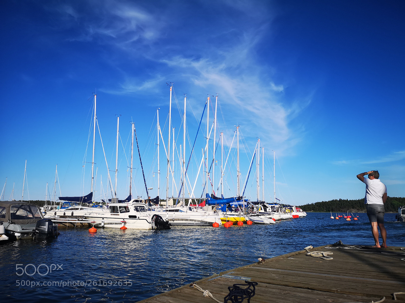 HUAWEI CLT-L29 sample photo. Summer day photography