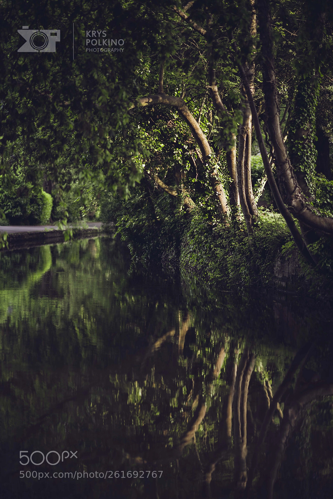 Nikon D610 sample photo. Christchurch dorset photography