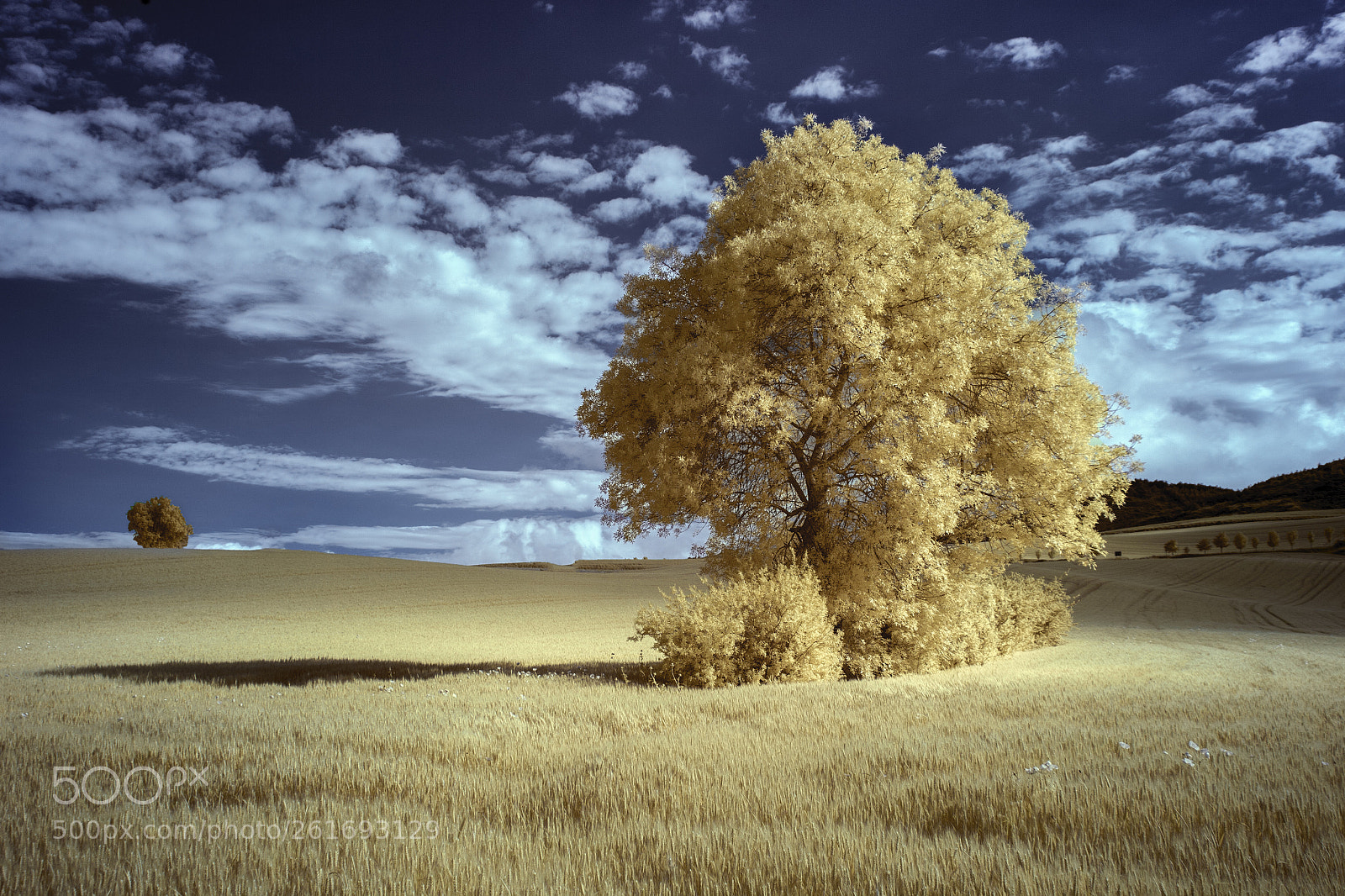 Canon EOS 5D sample photo. Aranguren valley photography
