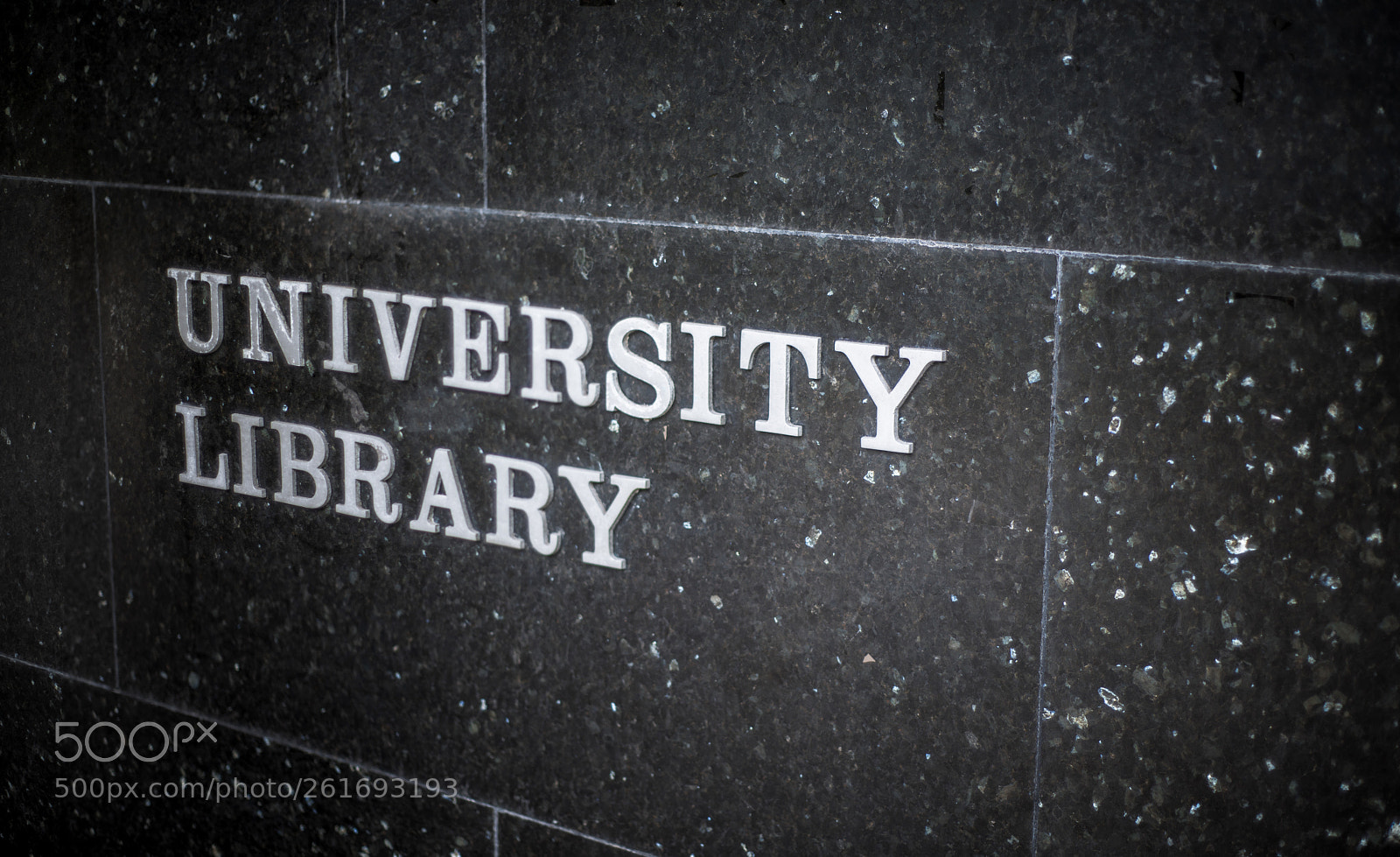 Nikon D800 sample photo. University library sign photography