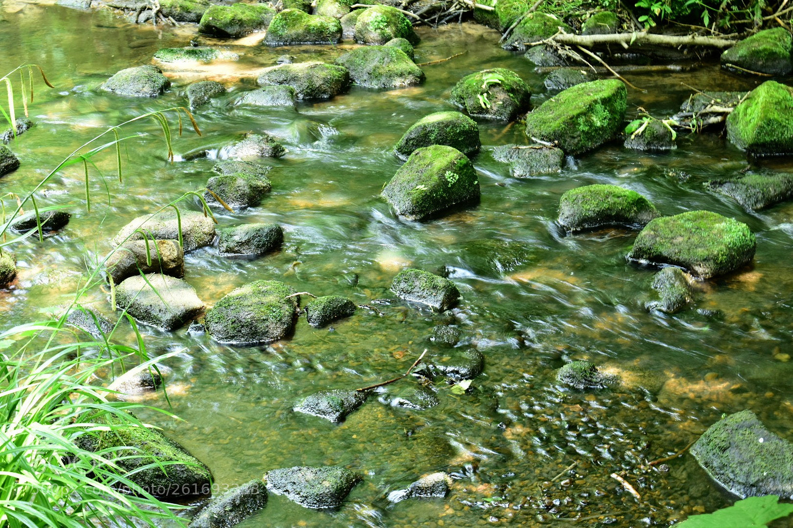 Nikon D3400 sample photo. Meanwood beck photography