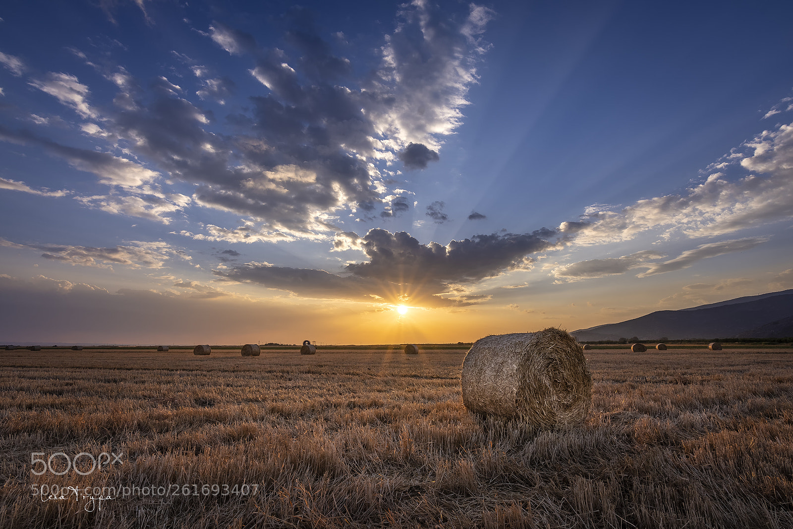 Nikon D7200 sample photo. Harvest time. thessalian plain photography