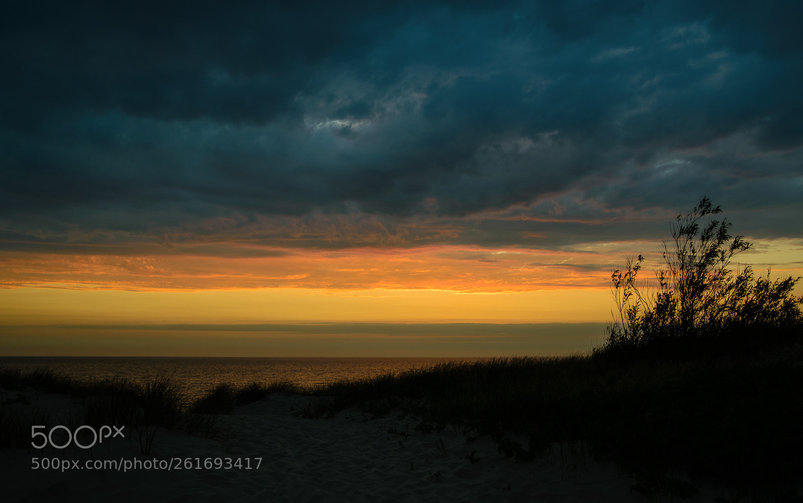 Nikon D610 sample photo. Куршская коса - curonian spit 2 photography
