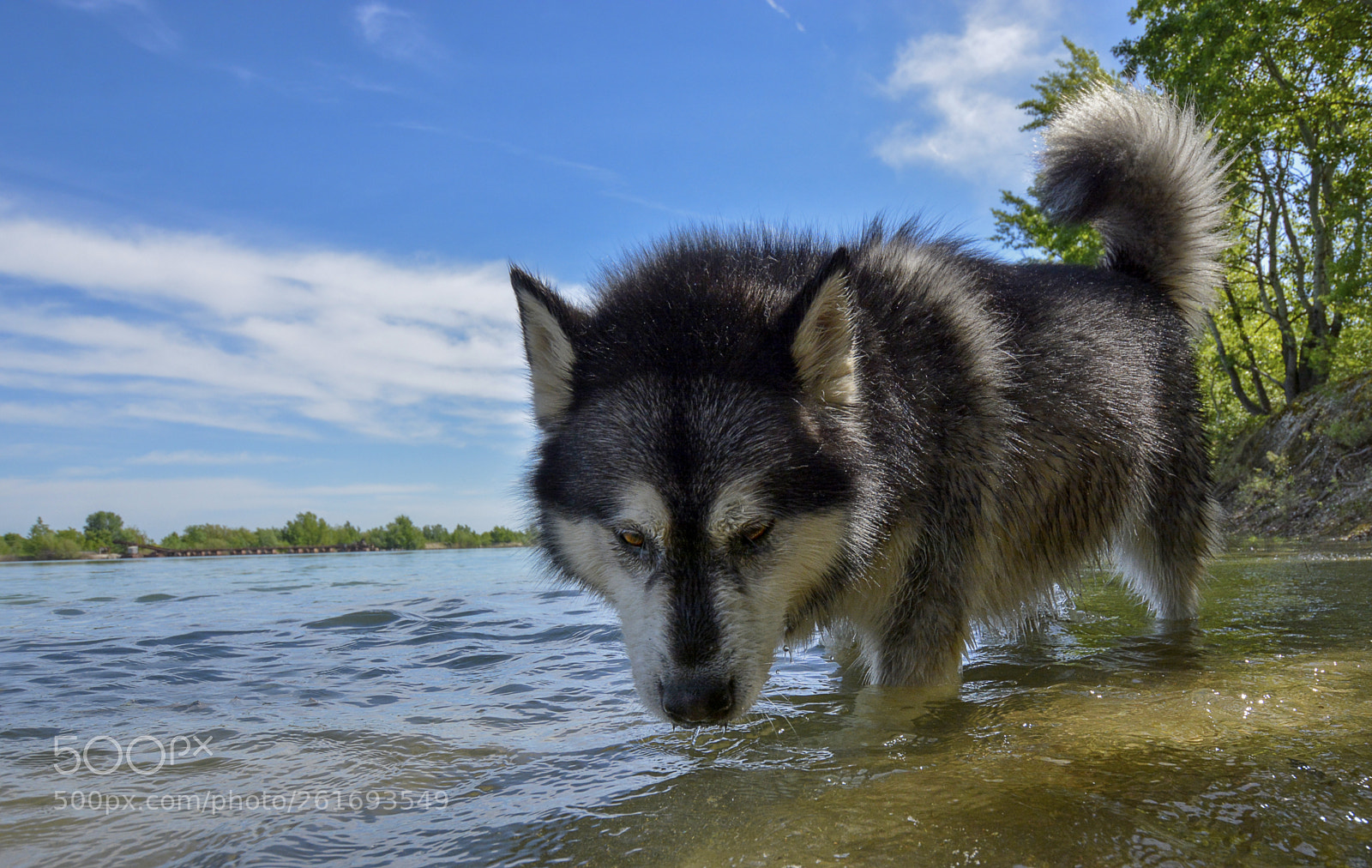 Nikon D7100 sample photo. Happy photography
