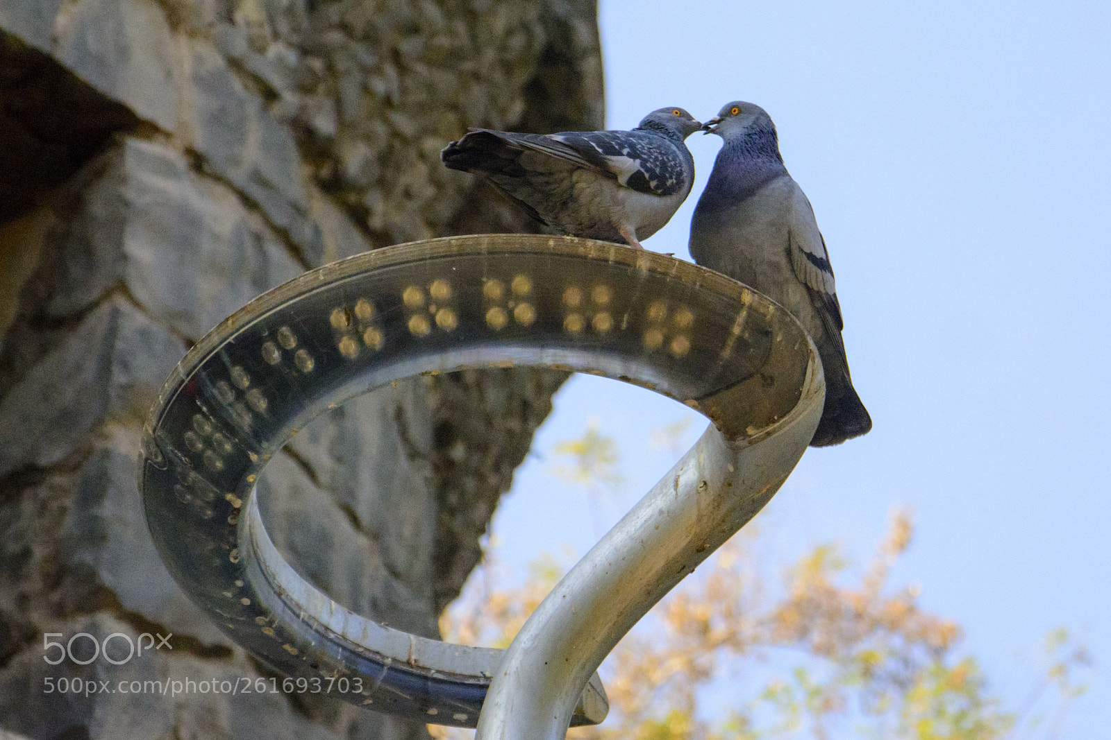 Nikon D7100 sample photo. Love in santiago photography