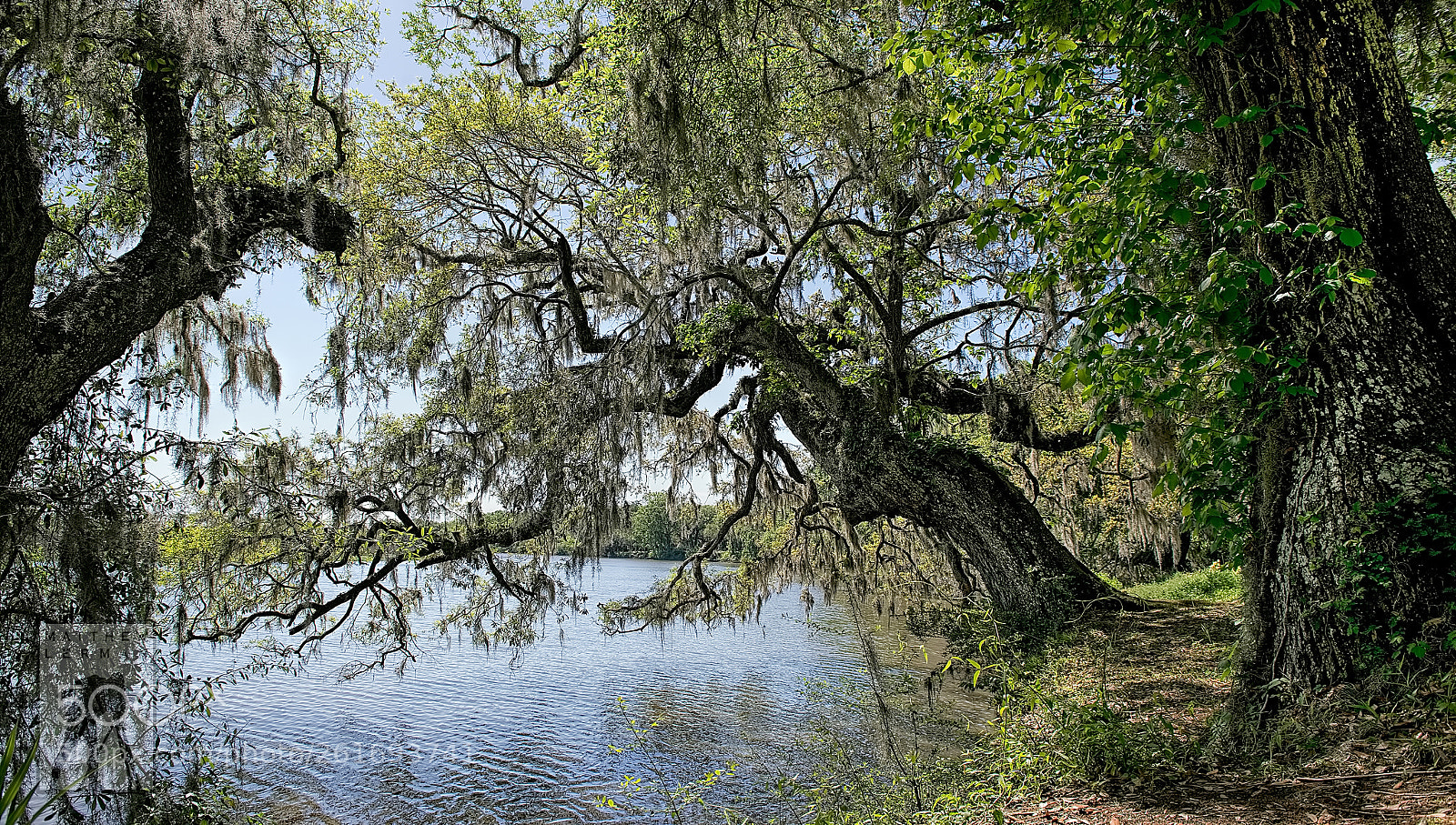 Nikon D800E sample photo. Plantation 1825 photography