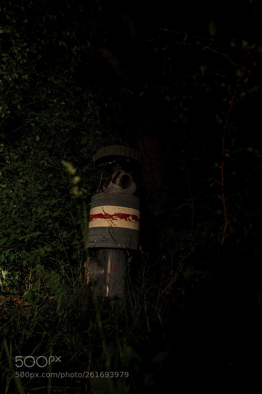 Canon EOS 60D sample photo. Old hydrant i photography