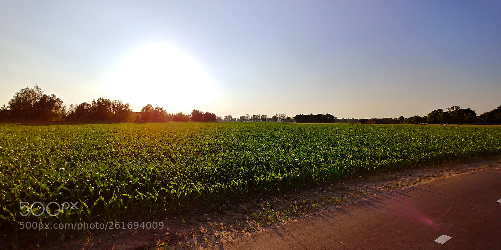 LG V30 sample photo. Paradise sunshine photography