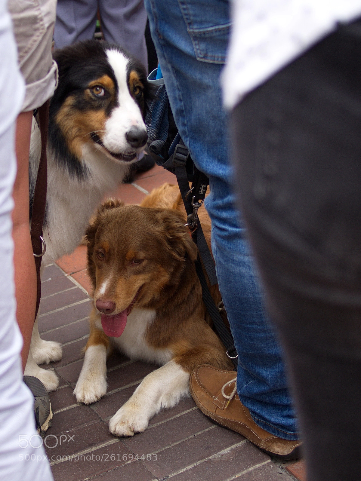 Olympus PEN E-PL5 sample photo. In a crowd photography