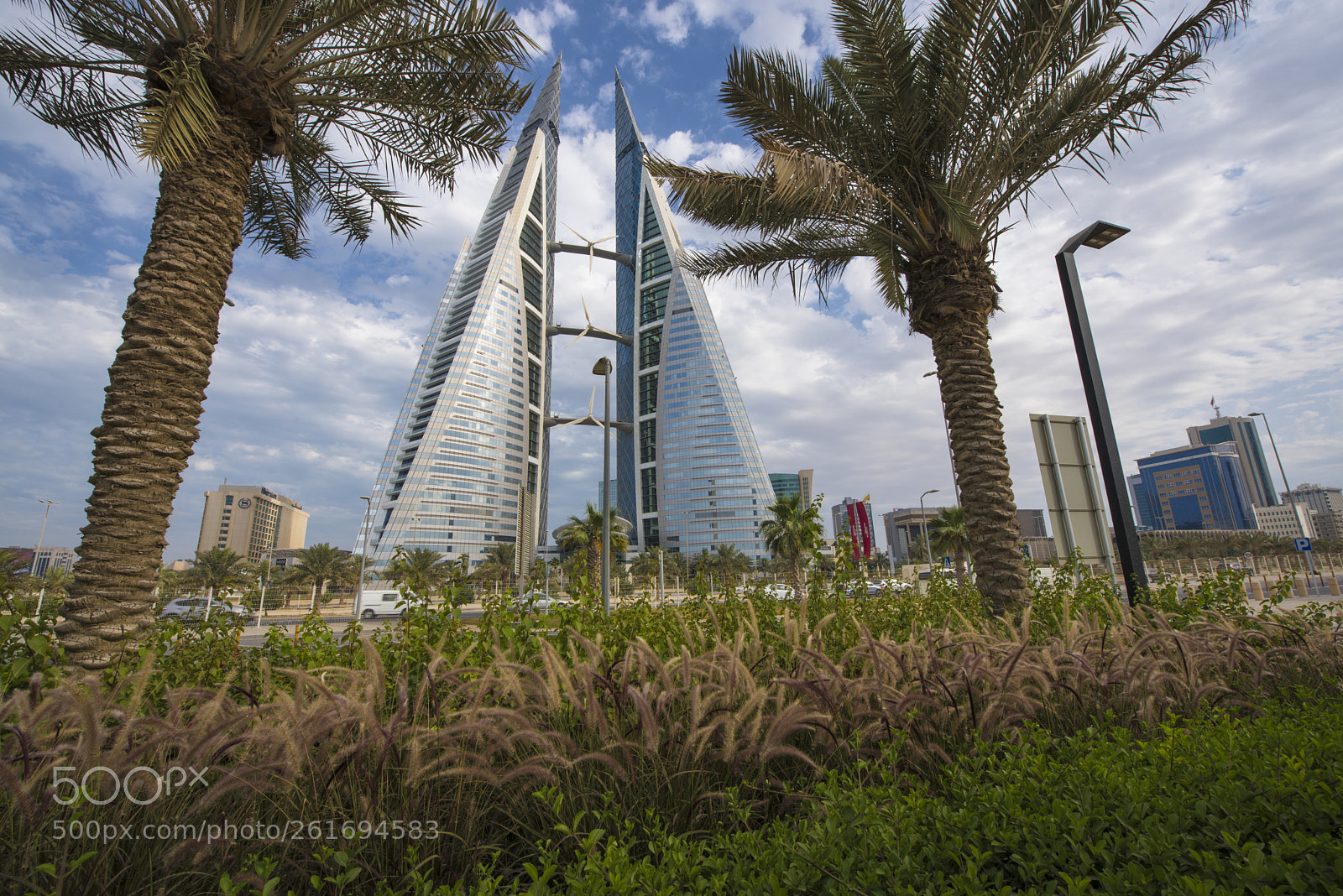 Nikon D750 sample photo. 1.jpg photography