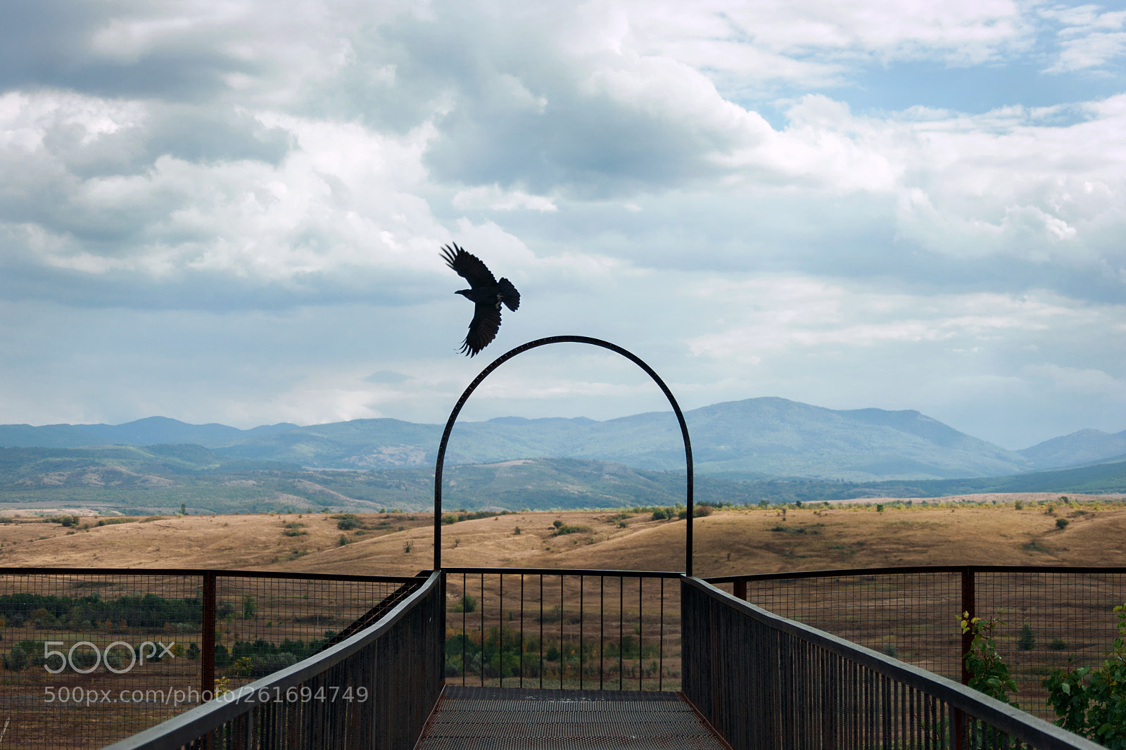 Nikon D90 sample photo. Black raven photography