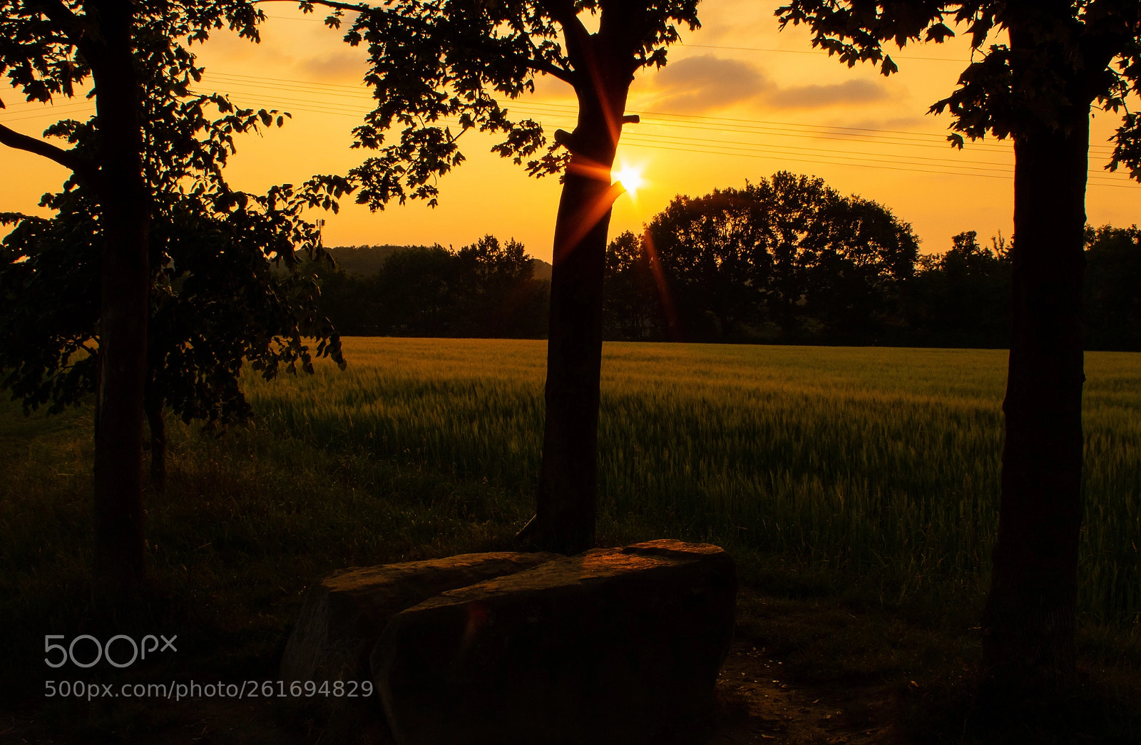 Canon EOS 750D (EOS Rebel T6i / EOS Kiss X8i) sample photo. The three musketeers photography