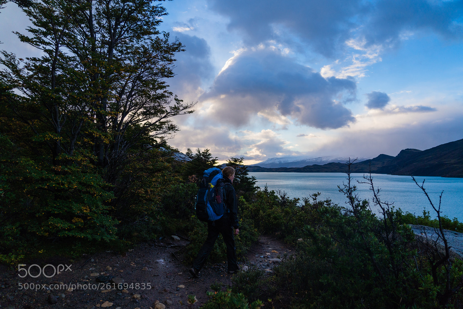 Sony a7R III sample photo. Early walks photography