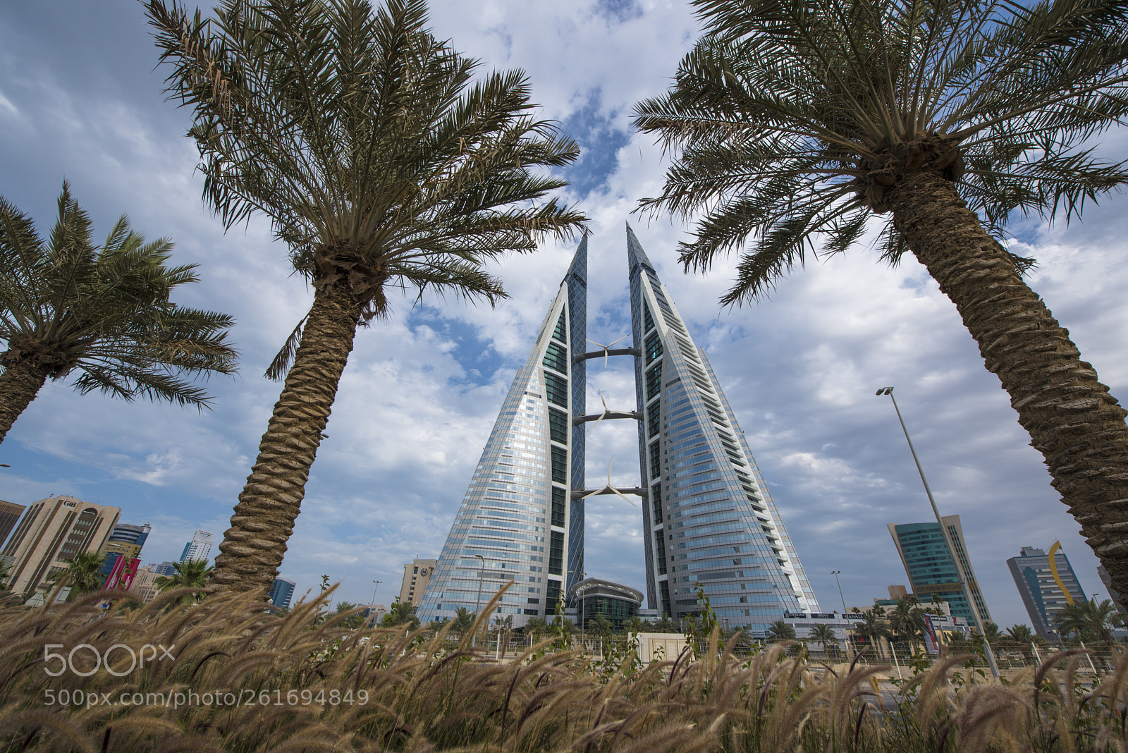 Nikon D750 sample photo. 6.jpg photography