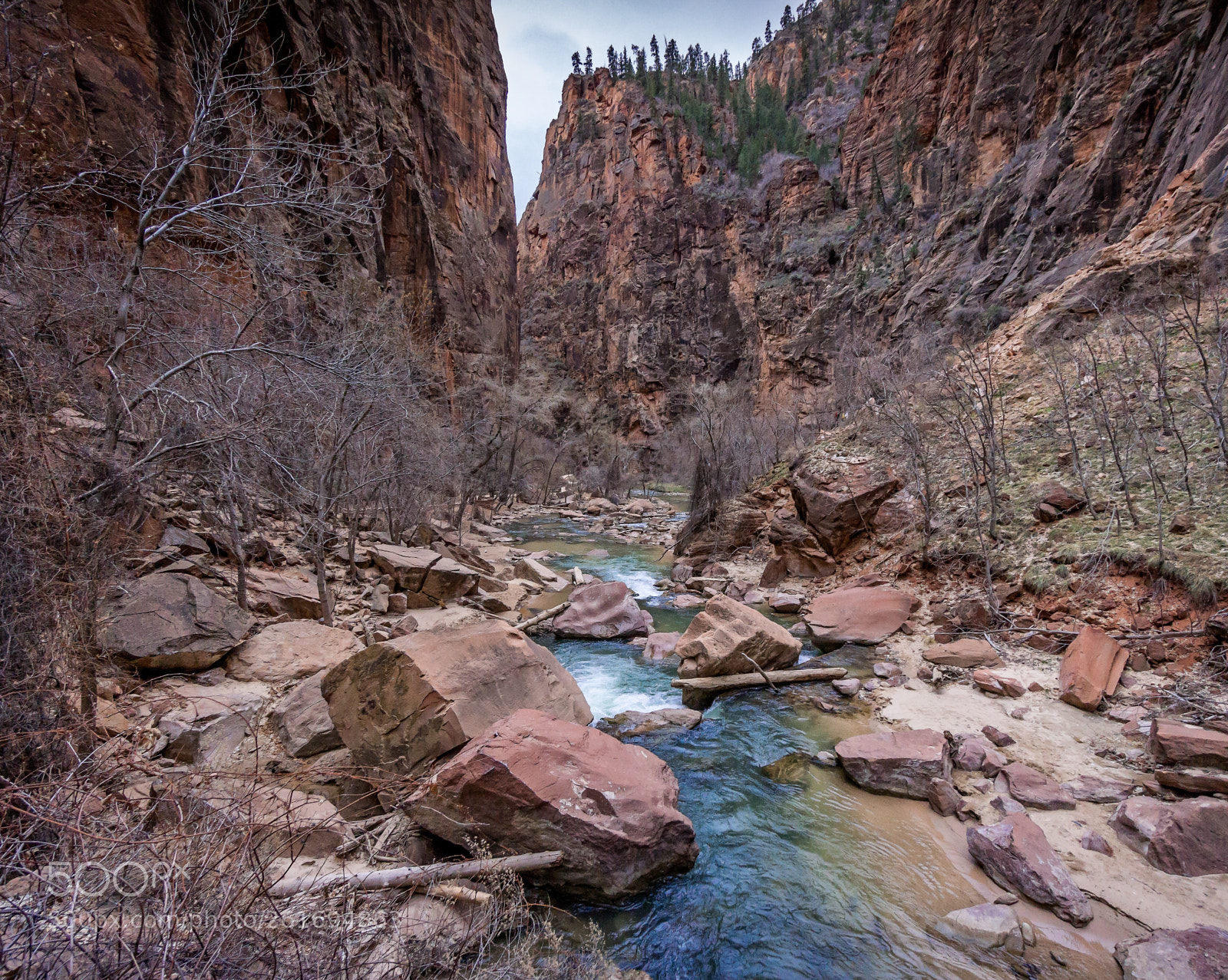 Sony Alpha NEX-7 sample photo. Zion @ the narrows photography