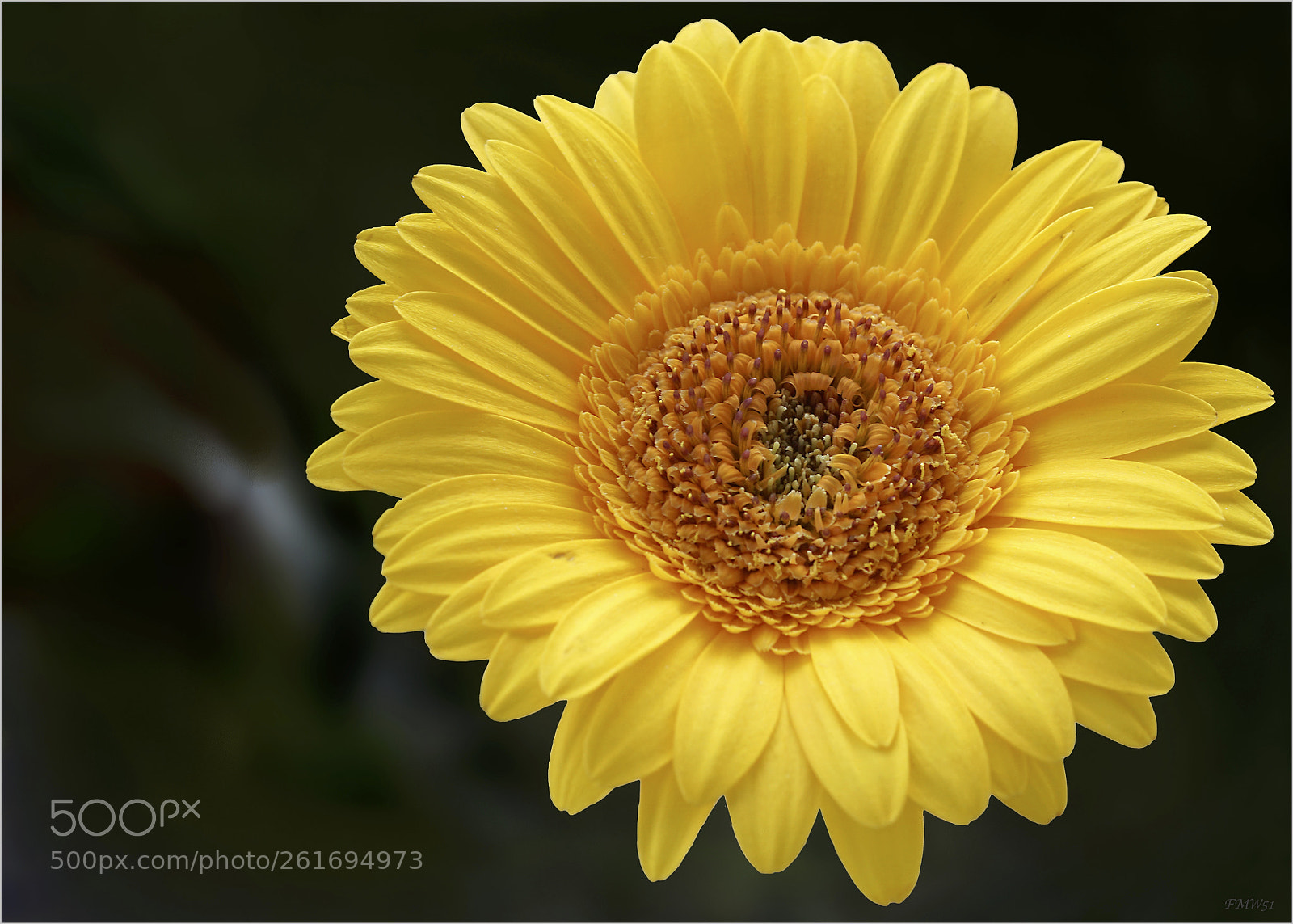 Sony ILCA-77M2 sample photo. Don let the sun photography