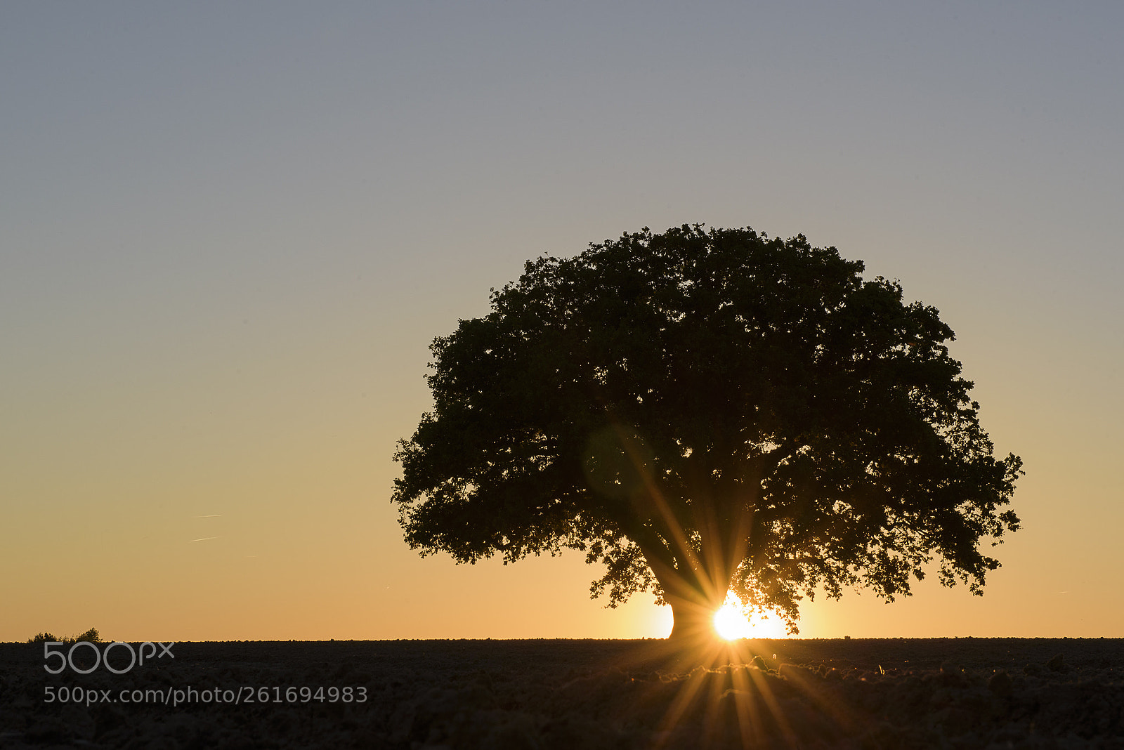 Nikon D750 sample photo. So sunny photography
