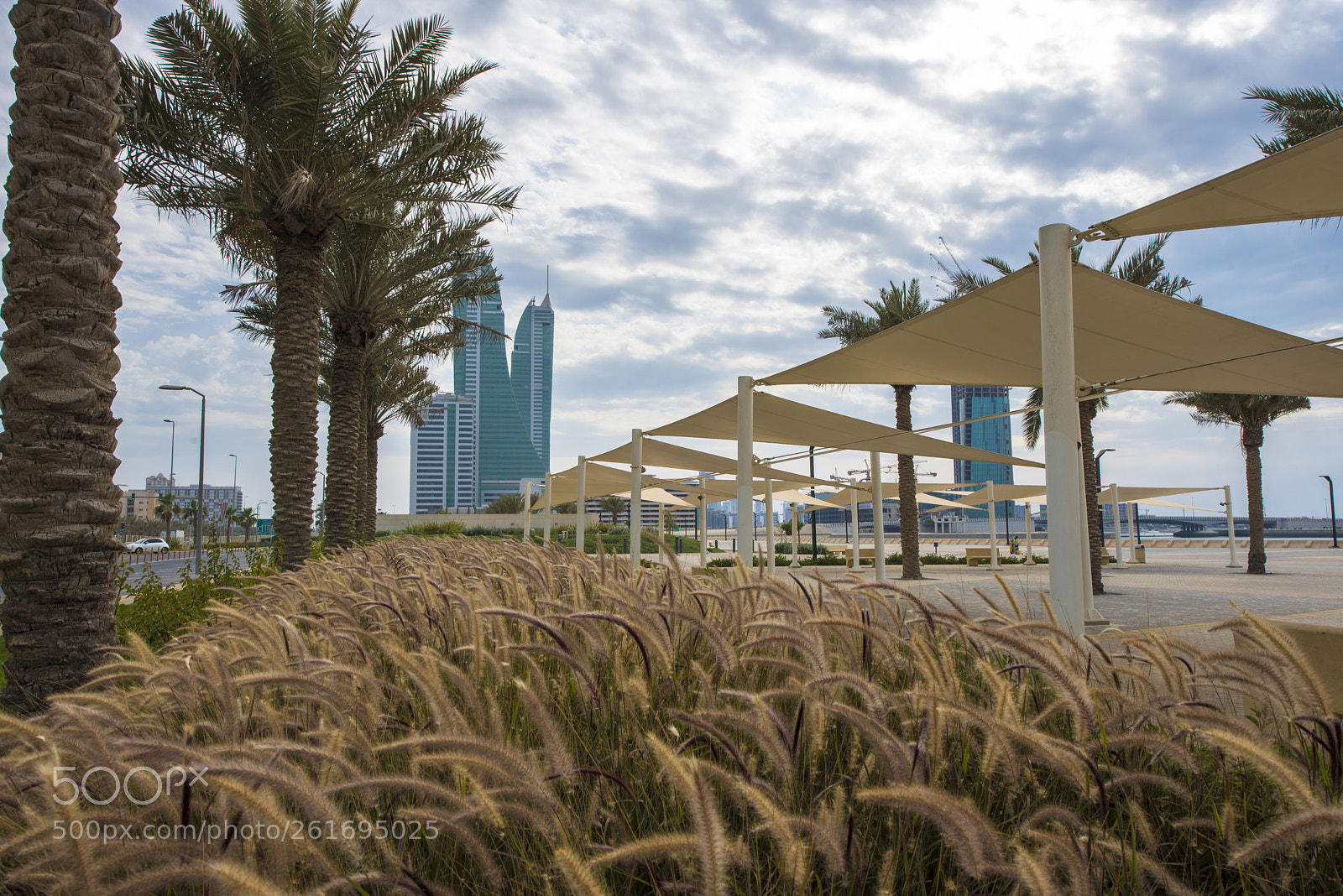 Nikon D750 sample photo. 7.jpg photography