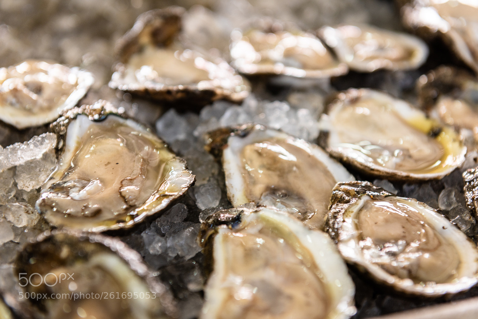 Nikon D810 sample photo. New orleans oysters photography