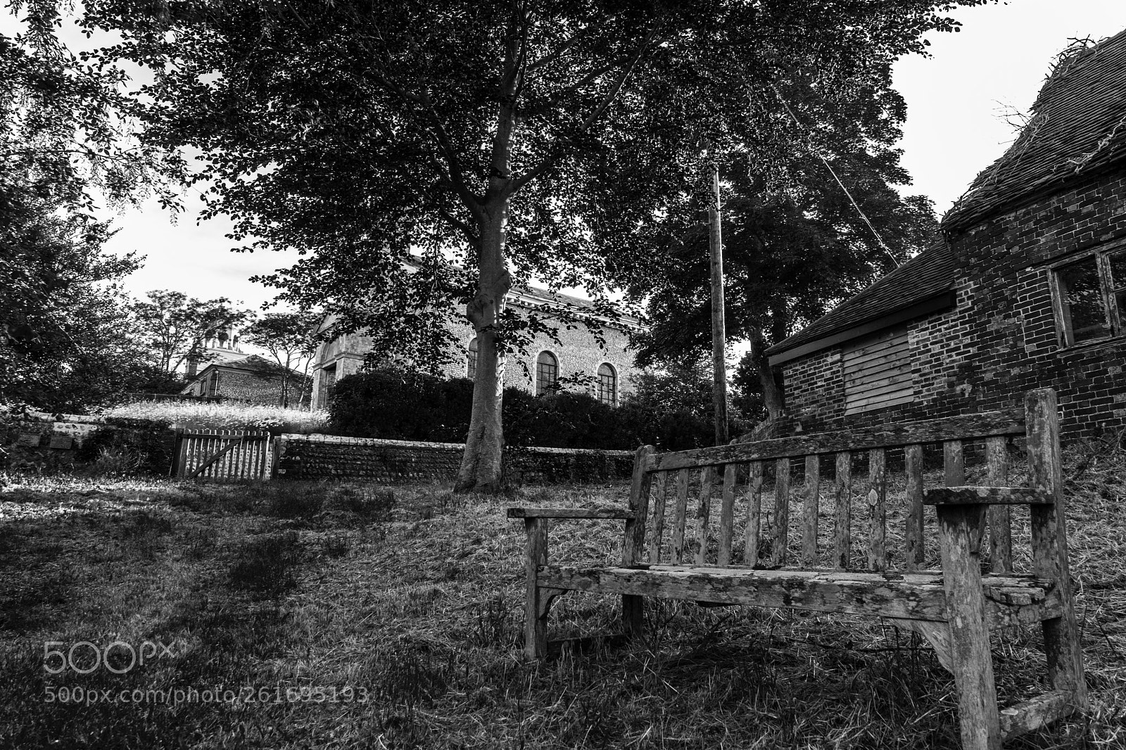 Nikon D5300 sample photo. Bench photography