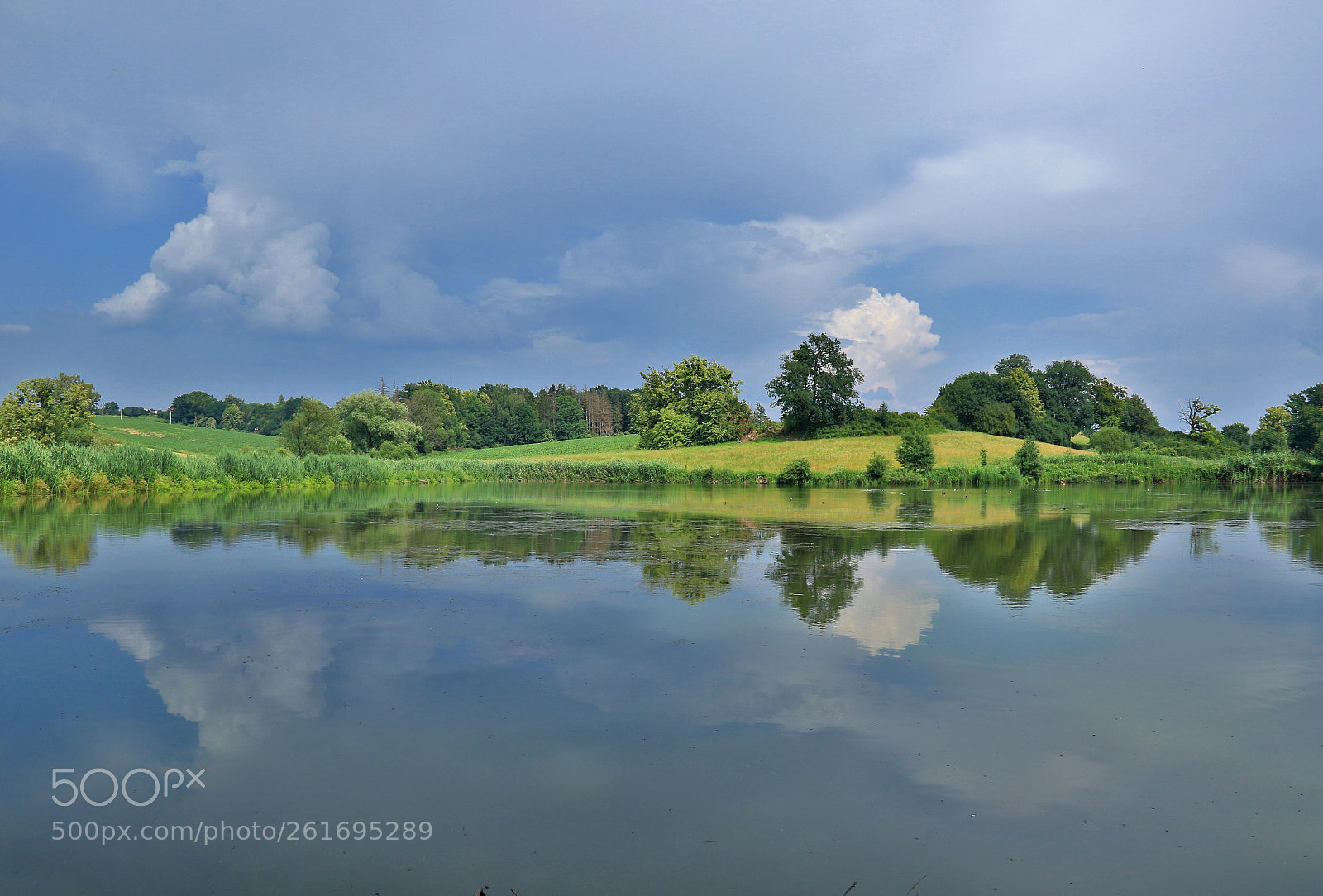Canon EOS 7D Mark II sample photo. Reflection photography