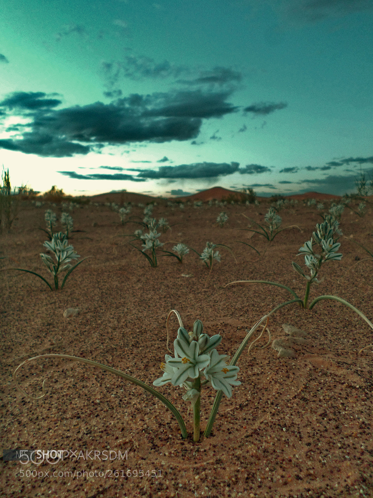 Samsung DV150F/DV151F/DV155F sample photo. Amazing desert photography