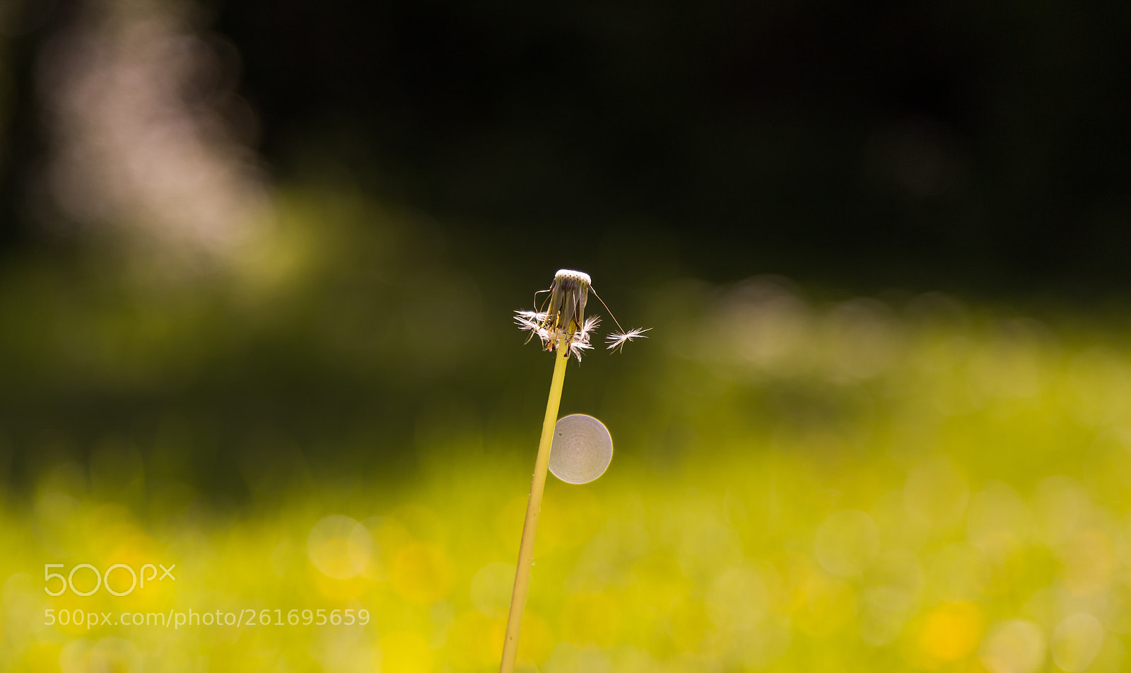 Canon EOS 6D sample photo. Like sean connery said... photography
