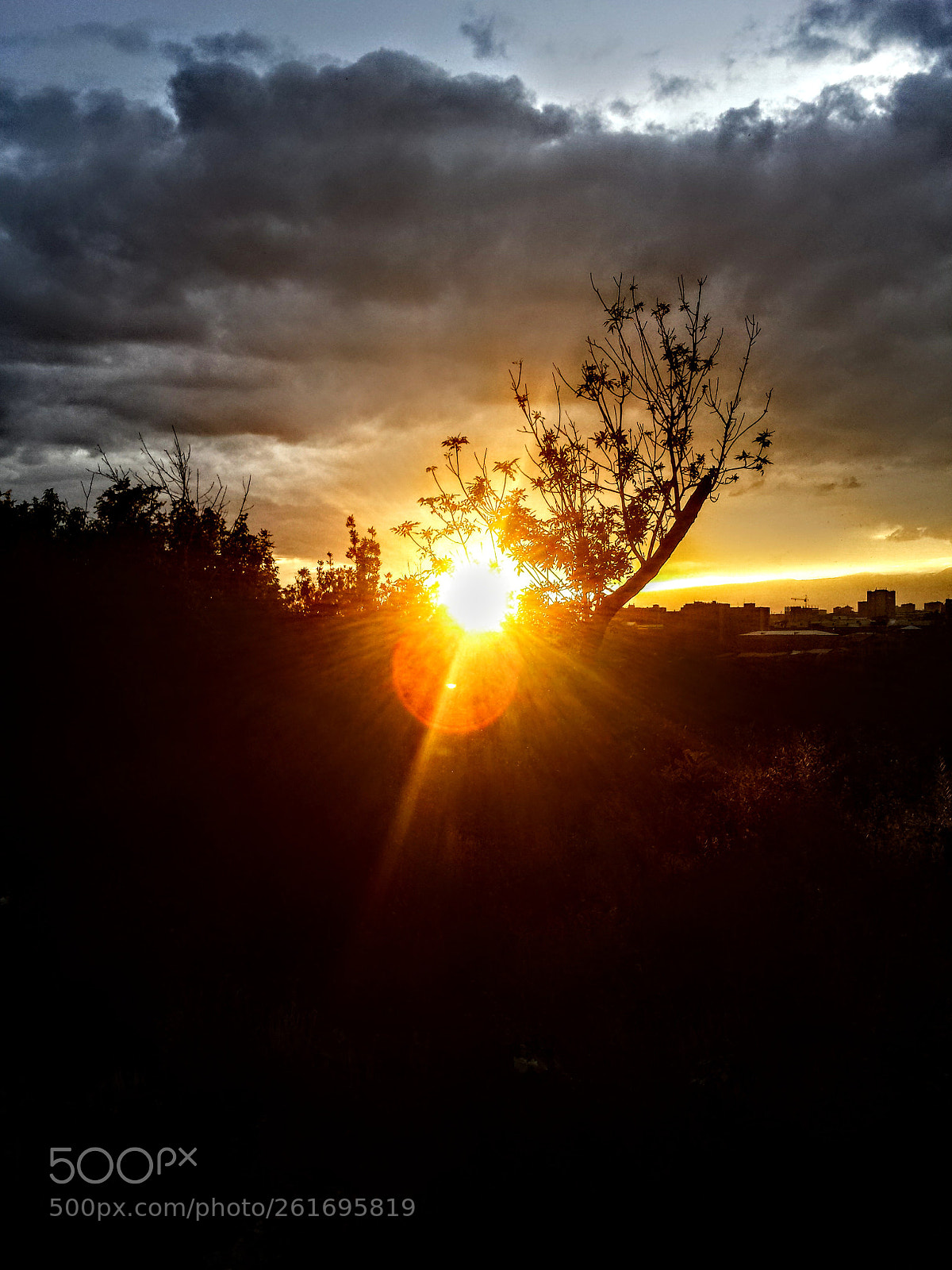 Samsung Galaxy S4 sample photo. Untitled photography