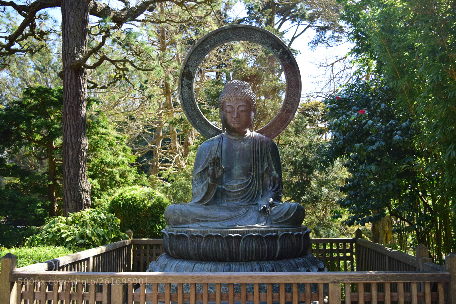 Nikon D3300 sample photo. The great bhudda photography