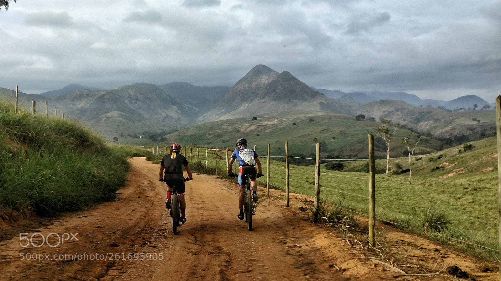 Motorola XT1650 sample photo. Caminhos de alto baunilha photography