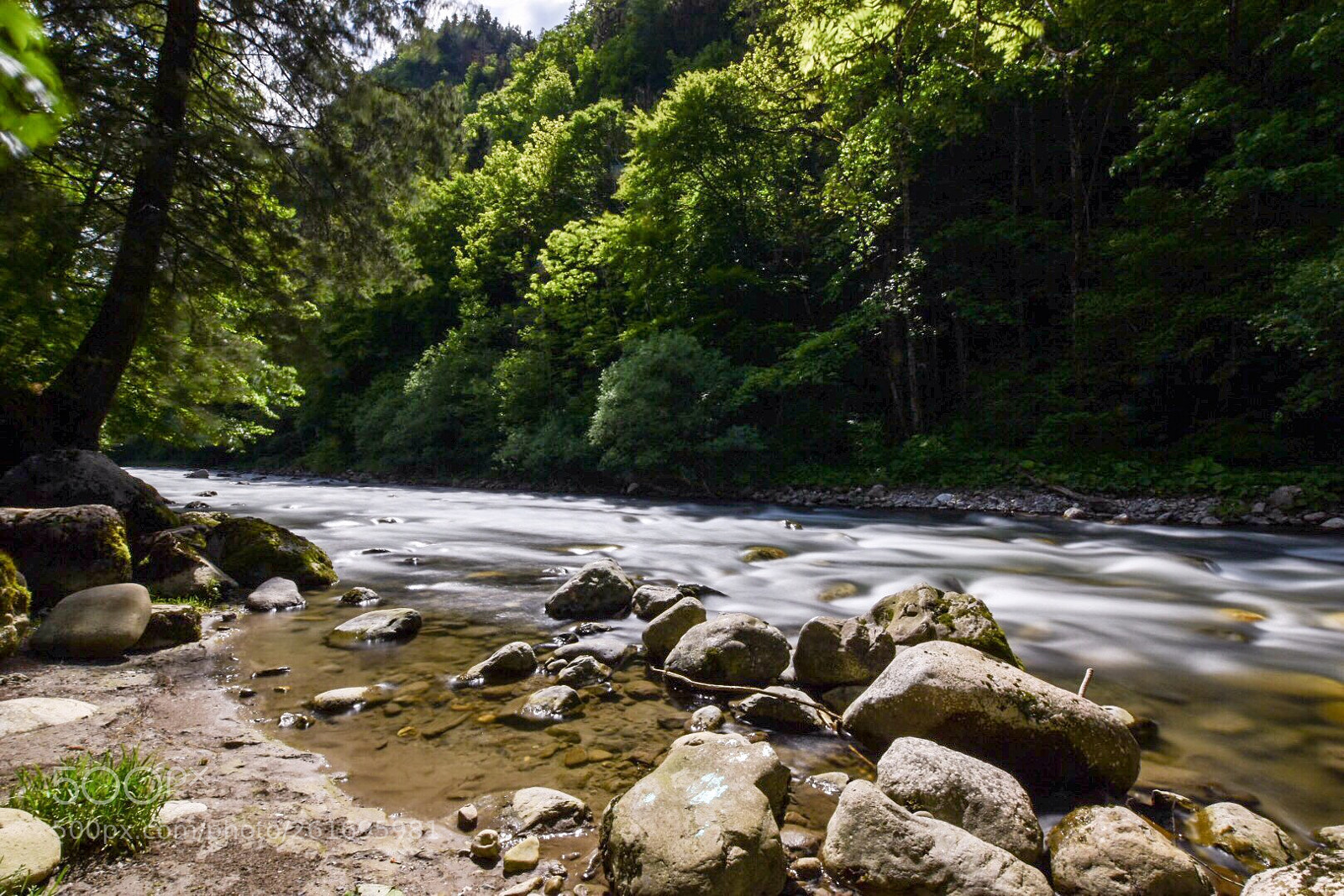 Nikon D5500 sample photo. Untitled photography