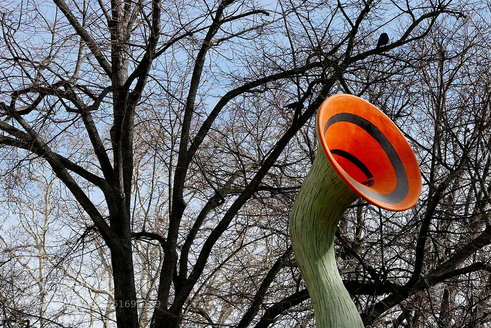 Panasonic Lumix DMC-LX100 sample photo. Horn photography