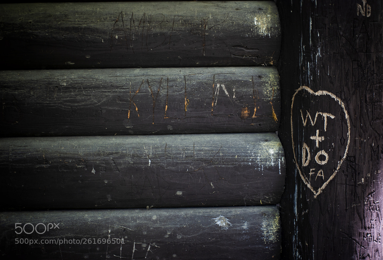 Nikon D40 sample photo. Wt+do photography