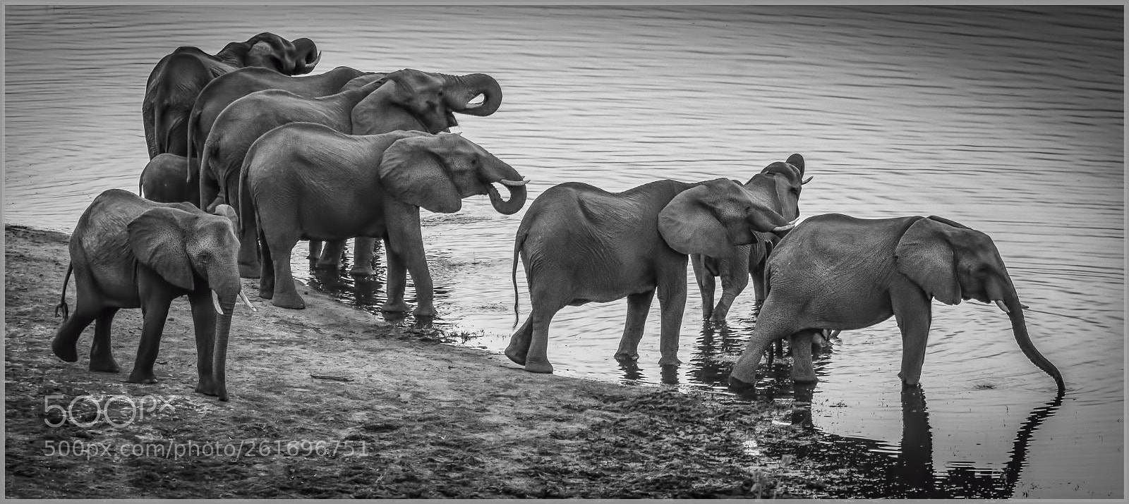 Nikon D7100 sample photo. At the watering hole photography