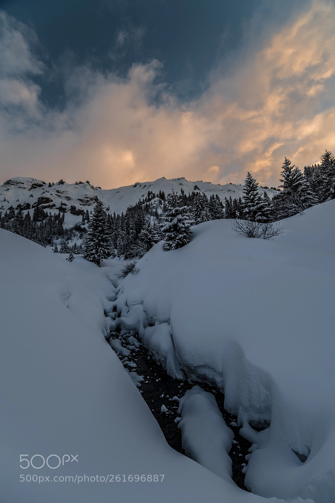 Nikon D750 sample photo. Sweet winter day photography
