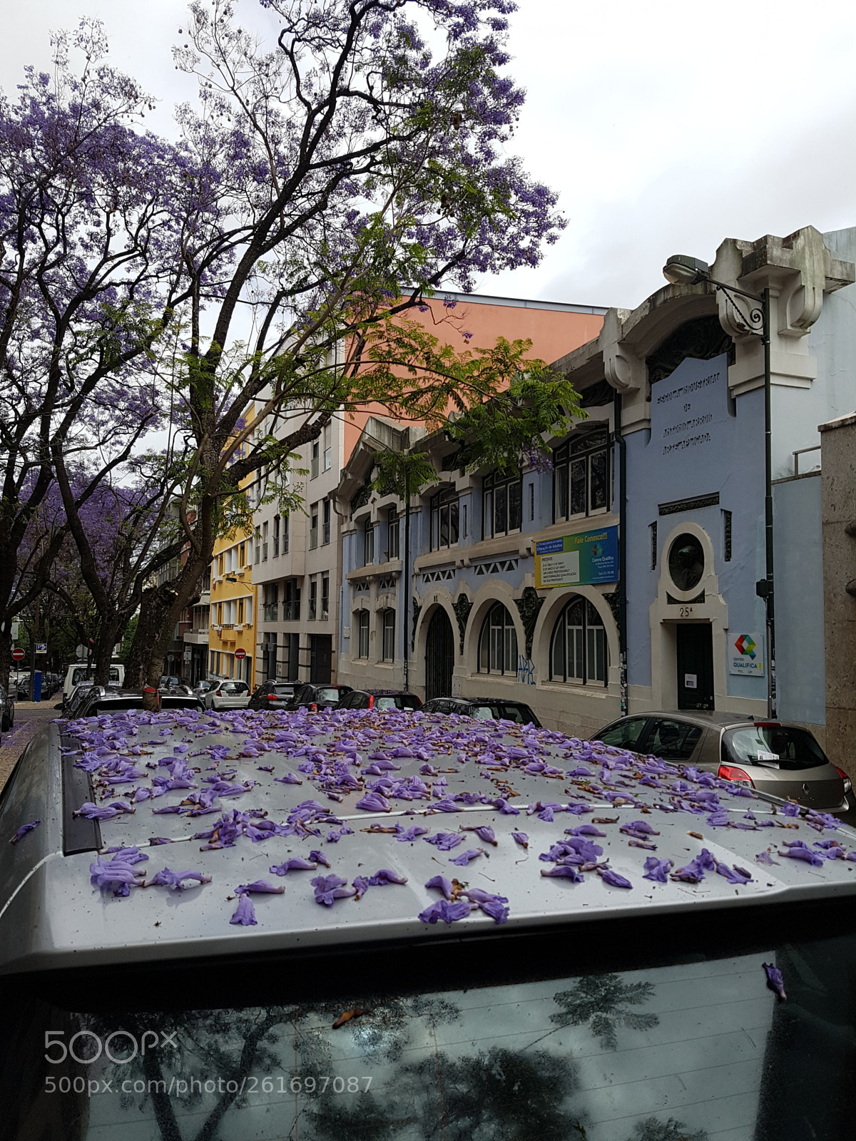 Samsung Galaxy S7 Edge sample photo. Jacarandás de lisboa photography