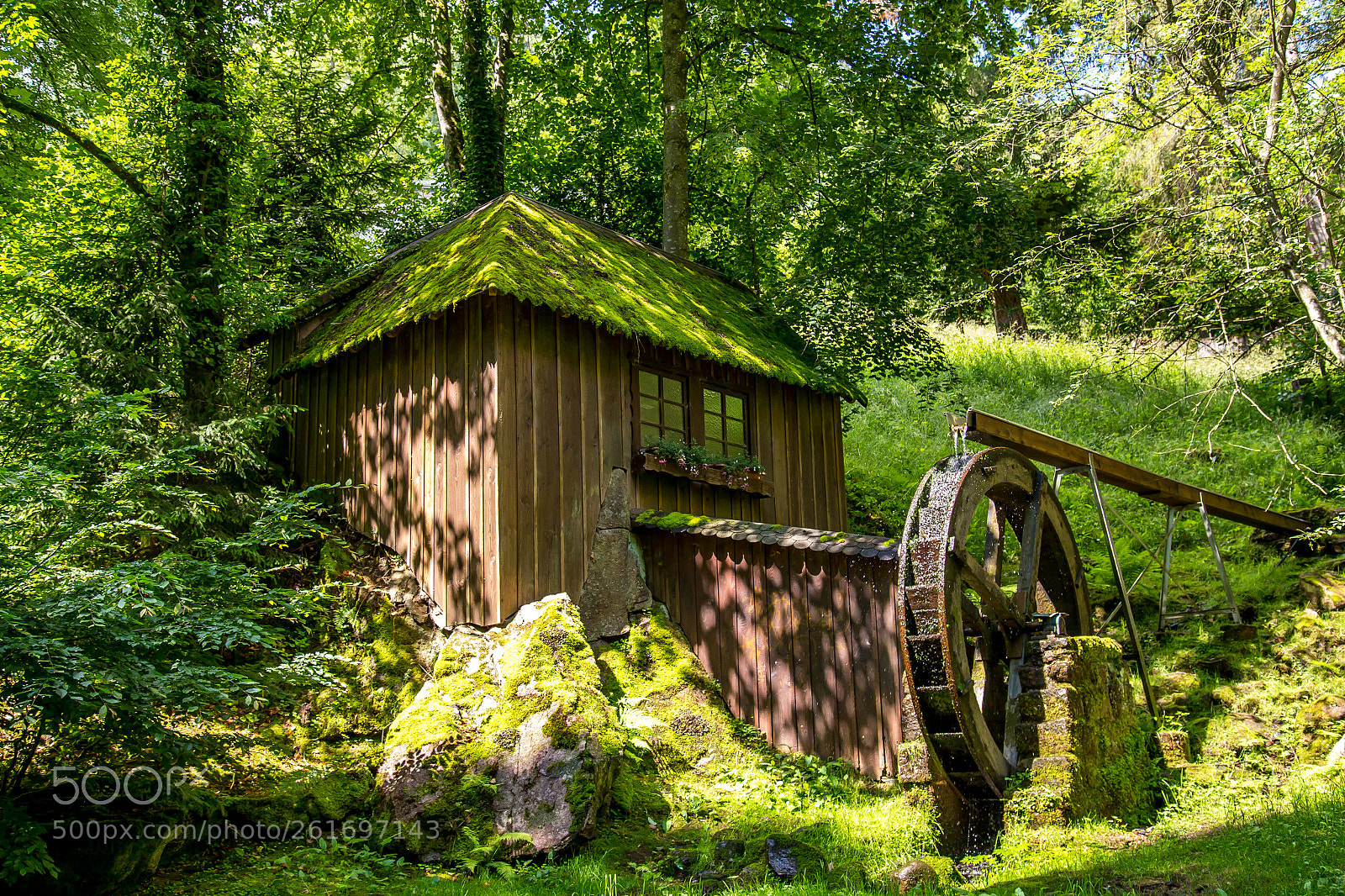 Canon EOS 6D sample photo. Bad wildbad kurpark wasserm photography