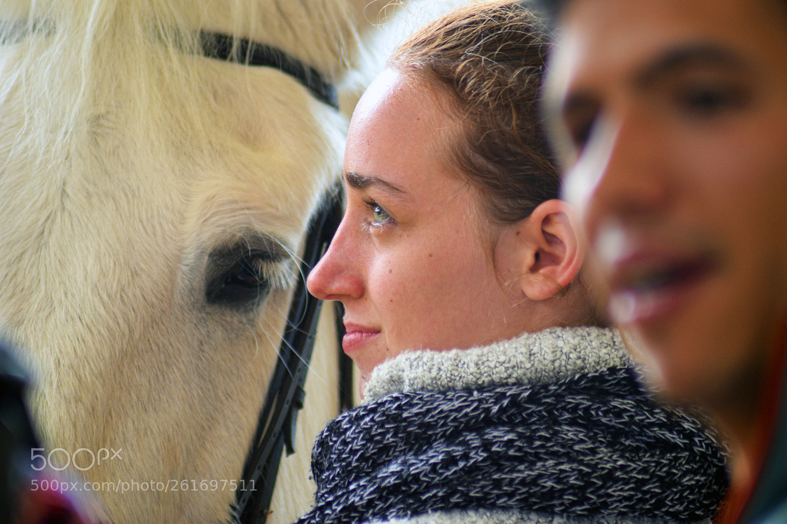 Nikon D3300 sample photo. The horse rider photography