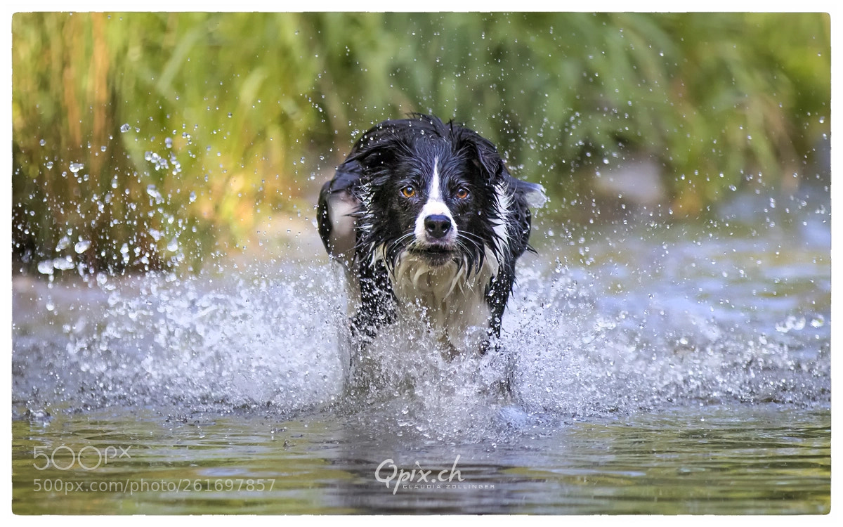 Canon EOS 80D sample photo. Water running photography