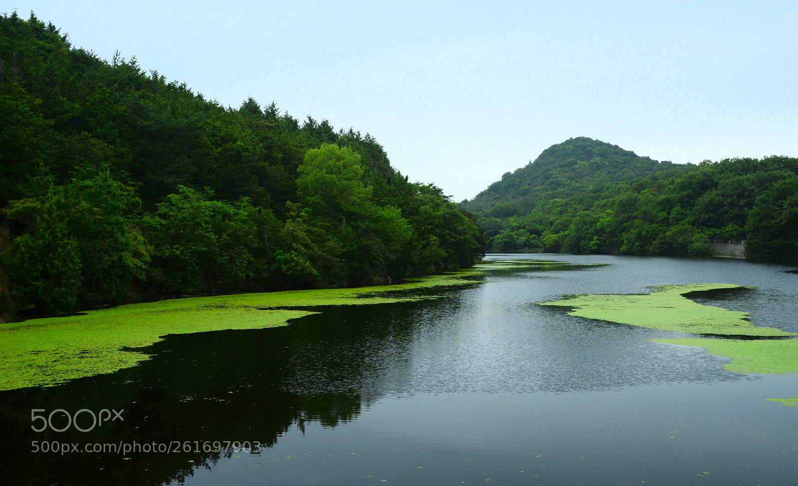 Nikon D7100 sample photo. Pond photography